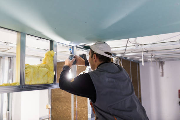 Best Insulation for Specific Applications in Farmington, MN