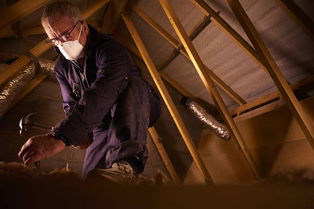 Best Insulation Installation Services in Farmington, MN